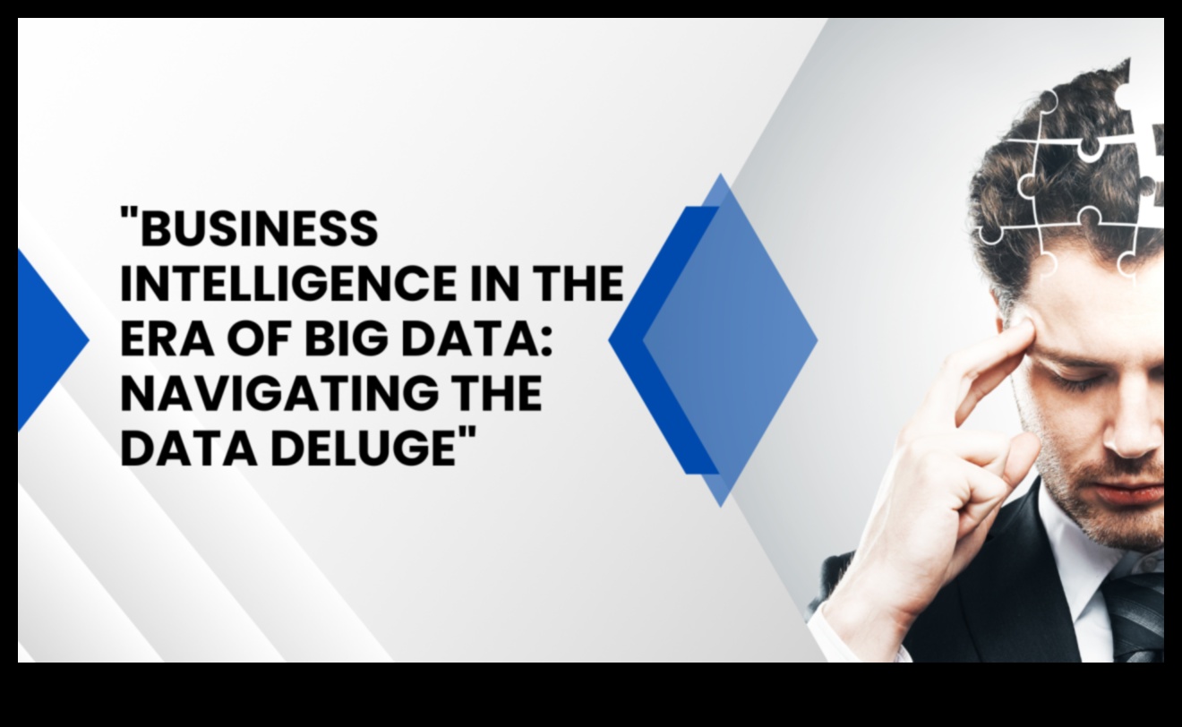 Cronicile de Business Intelligence dezvăluite: Povești despre inovație și triumf