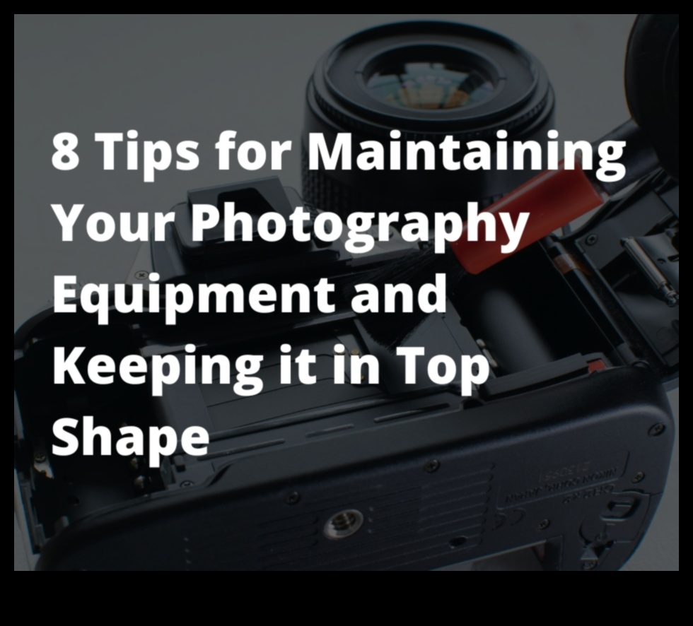 Igiena camerei: sfaturi de curățare și întreținere pentru echipamentul dvs