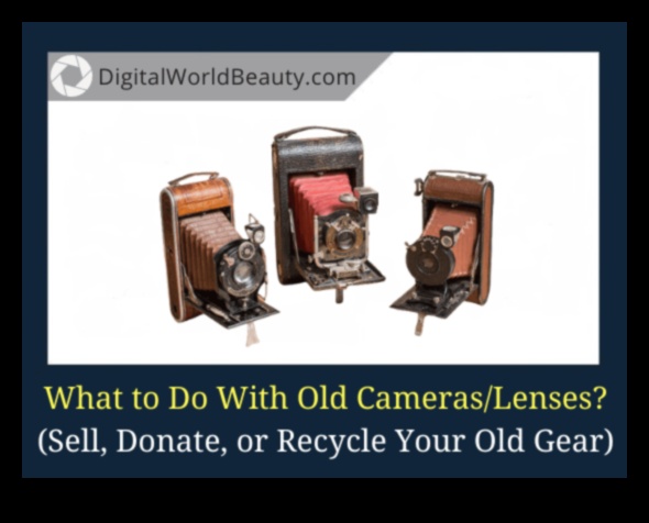 Gadget Graveyard: Programe de reciclare pentru camere și echipamente vechi