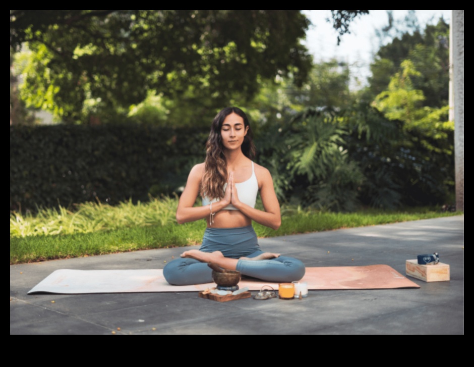 Sanctuarul de yoga: Navigarea linistii in meditatie