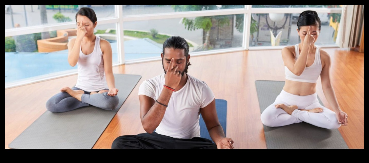 Sanctuarul de yoga: Navigarea linistii in meditatie