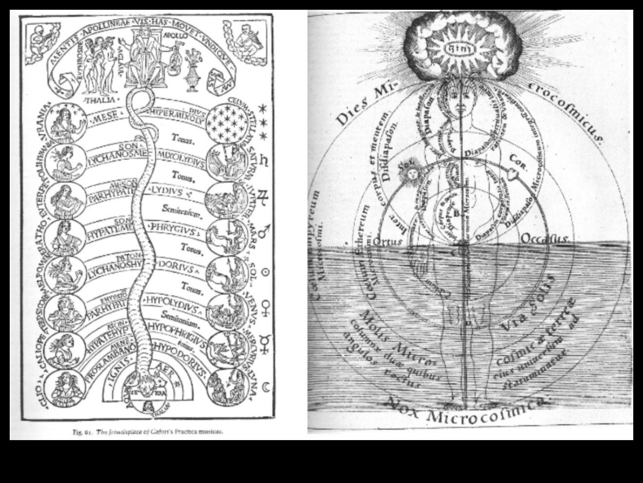 Heavenscape Harmony: Note muzicale care răsună în tăcerea spațiului cosmic