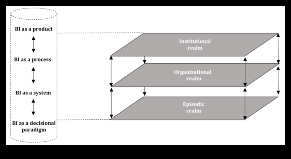 Dincolo de limite O perspectivă strategică asupra Business Intelligence 2 Dincolo de granițe: perspective strategice despre Business Intelligence
