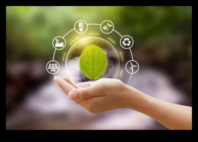 Strategii pentru etica durabilă: înțelepciunea în conduita în afaceri