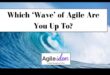 Riding the Wave: Strategii pentru managementul agil al proceselor de afaceri