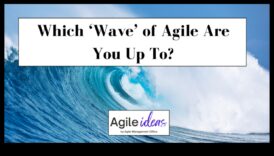 Riding the Wave: Strategii pentru managementul agil al proceselor de afaceri