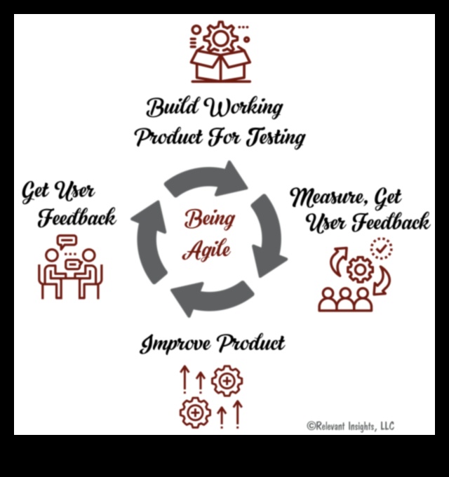 Dezvoltare agilă de produs Cum abordările iterative îi pot ajuta pe antreprenori să construiască produse de succes 1 Dezvoltare agilă de produs: abordări iterative pentru antreprenori