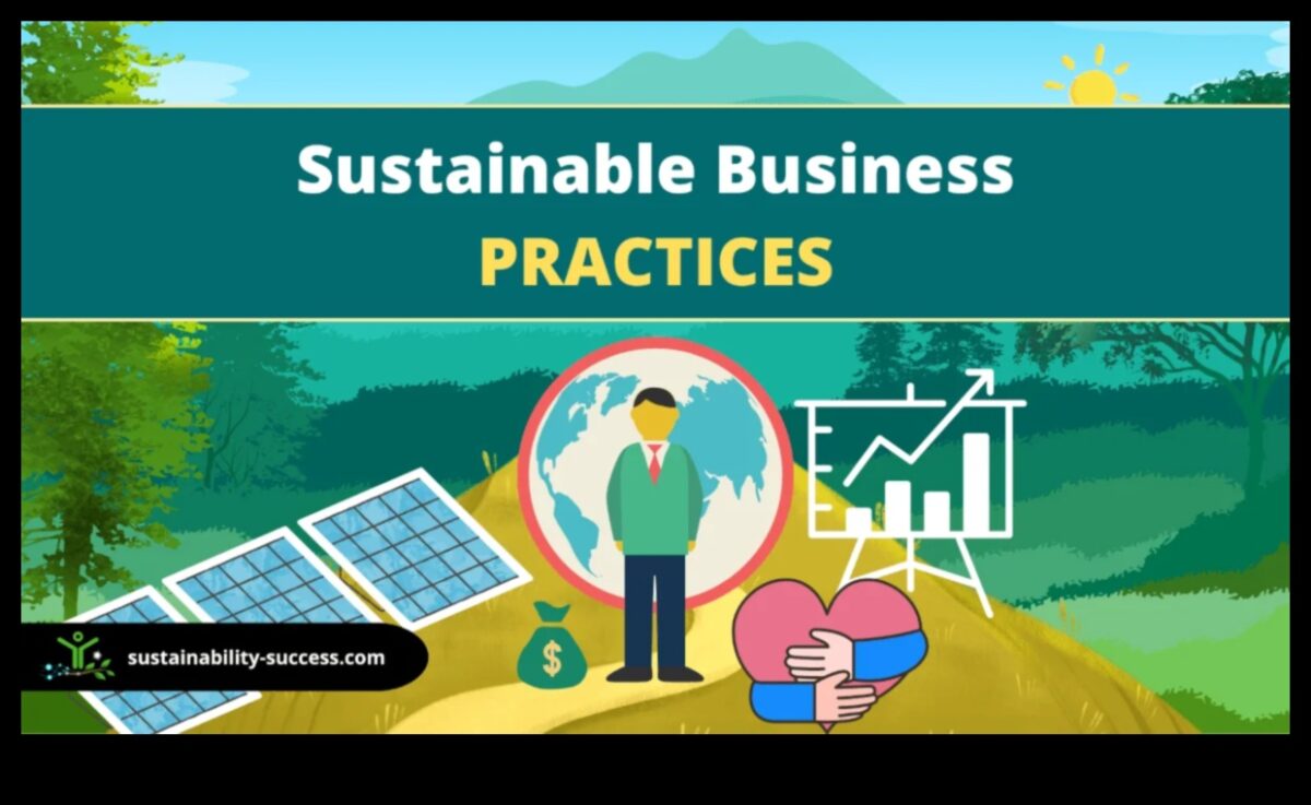 Strategii pentru etica durabilă: înțelepciunea în conduita în afaceri