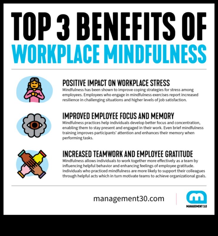 Mindful Management: echilibrarea leadership-ului și bunăstarea în întreprinderile mici