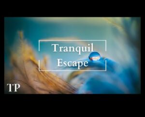 Retragere conștientă: evadarea în liniște prin tehnici eficiente de ameliorare a stresului