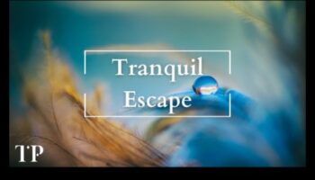 Retragere conștientă: evadarea în liniște prin tehnici eficiente de ameliorare a stresului