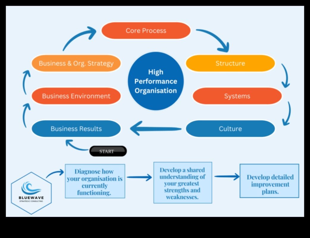 Stăpânirea eficienței: navigarea în dinamica proceselor de afaceri
