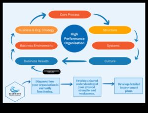 Stăpânirea eficienței: navigarea în dinamica proceselor de afaceri